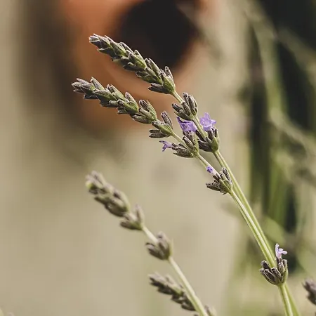 Doganin Kalbindeki Eviniz-9 Kisi *