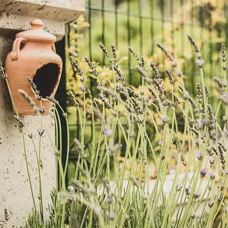 Doganin Kalbindeki Eviniz-9 Kisi غِمليك