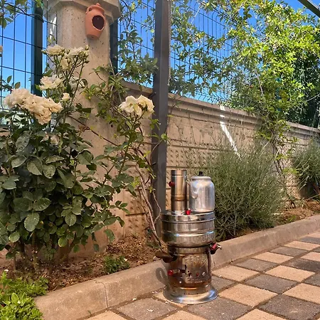 Doganin Kalbindeki Villaniz-9 Kisilik